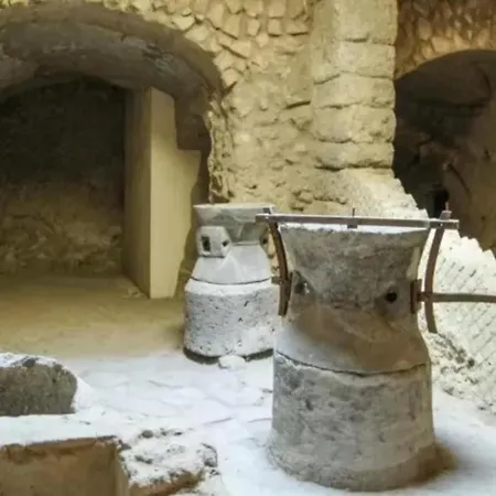 Apartment Domus Januarius *
